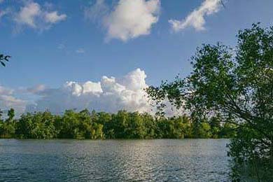 博卡防线缺乏整体横向协同，博卡防线缺乏整体横向协同功能