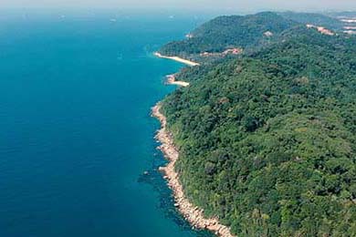 博卡防线缺乏整体横向协同，博卡防线缺乏整体横向协同功能