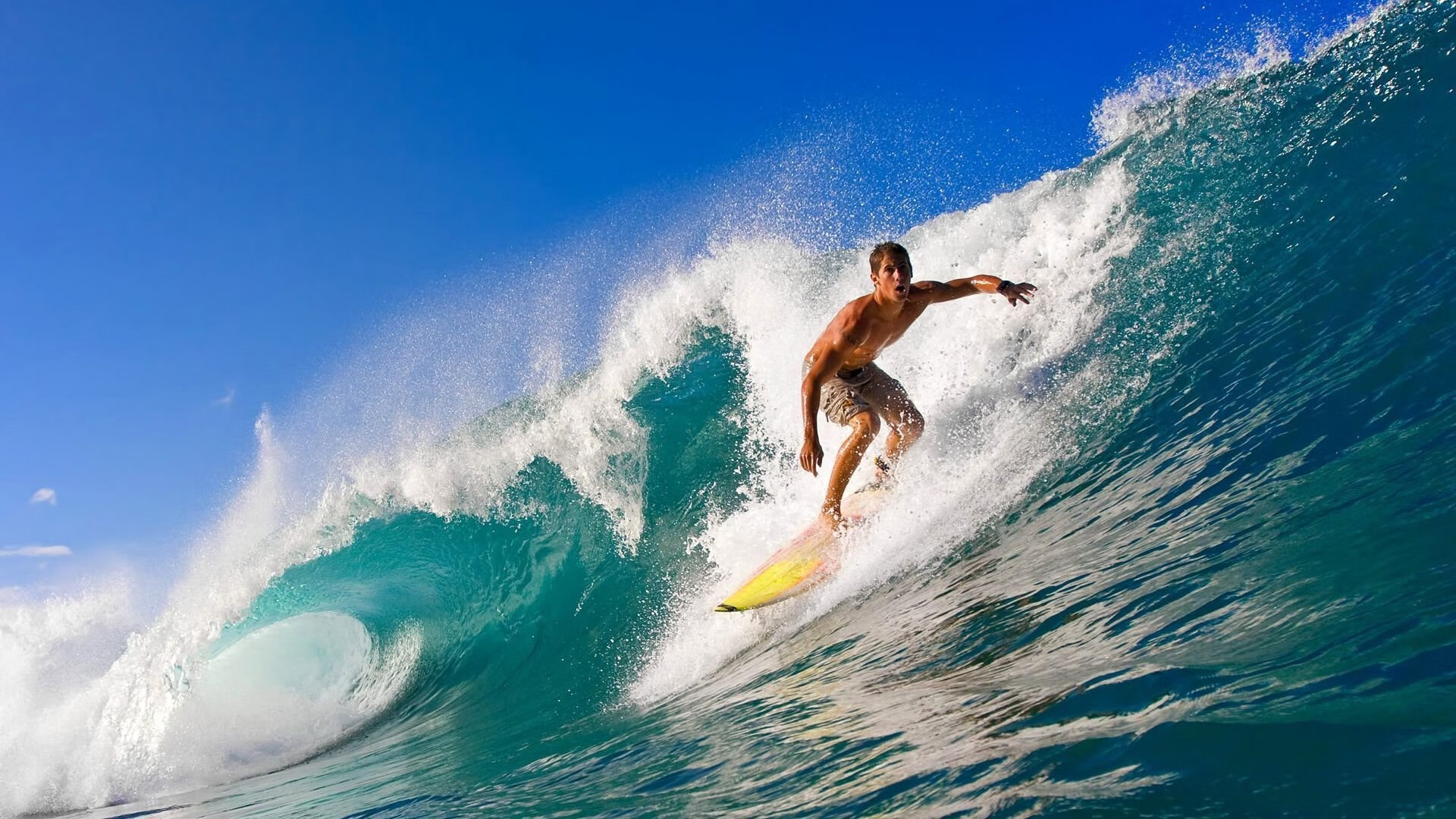 澳大利亚袋鼠队通过战术多变控制比赛局势，澳大利亚袋鼠问题